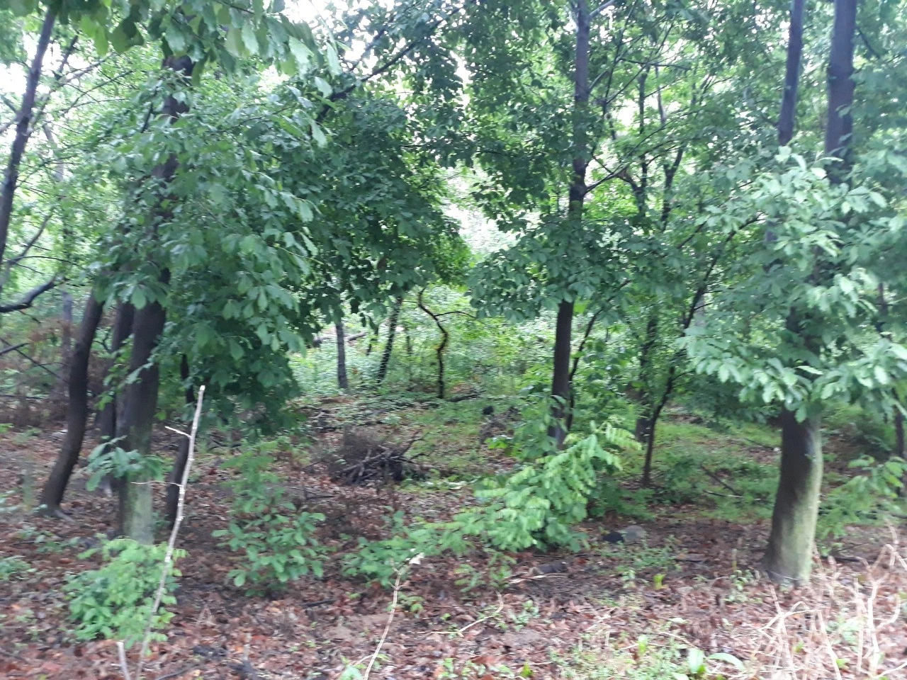 b_682Ud018svc1x5bgsue1bjwm_e4yr2x.jpg?type=e1920_std