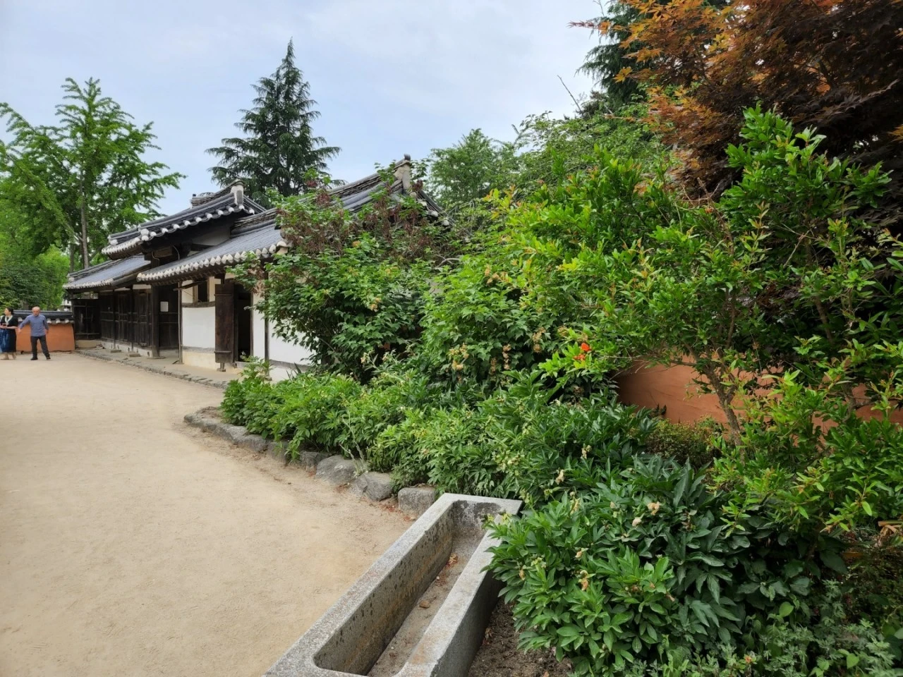 7_1dcUd018svcale8yzoiy7u8_e4yr2x.jpg?type=e1920_std