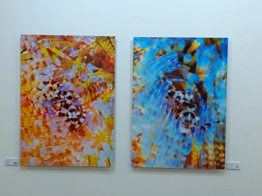 3_j8aUd018svc6sc80z70nxtl_e4yr2x.jpg?type=w520