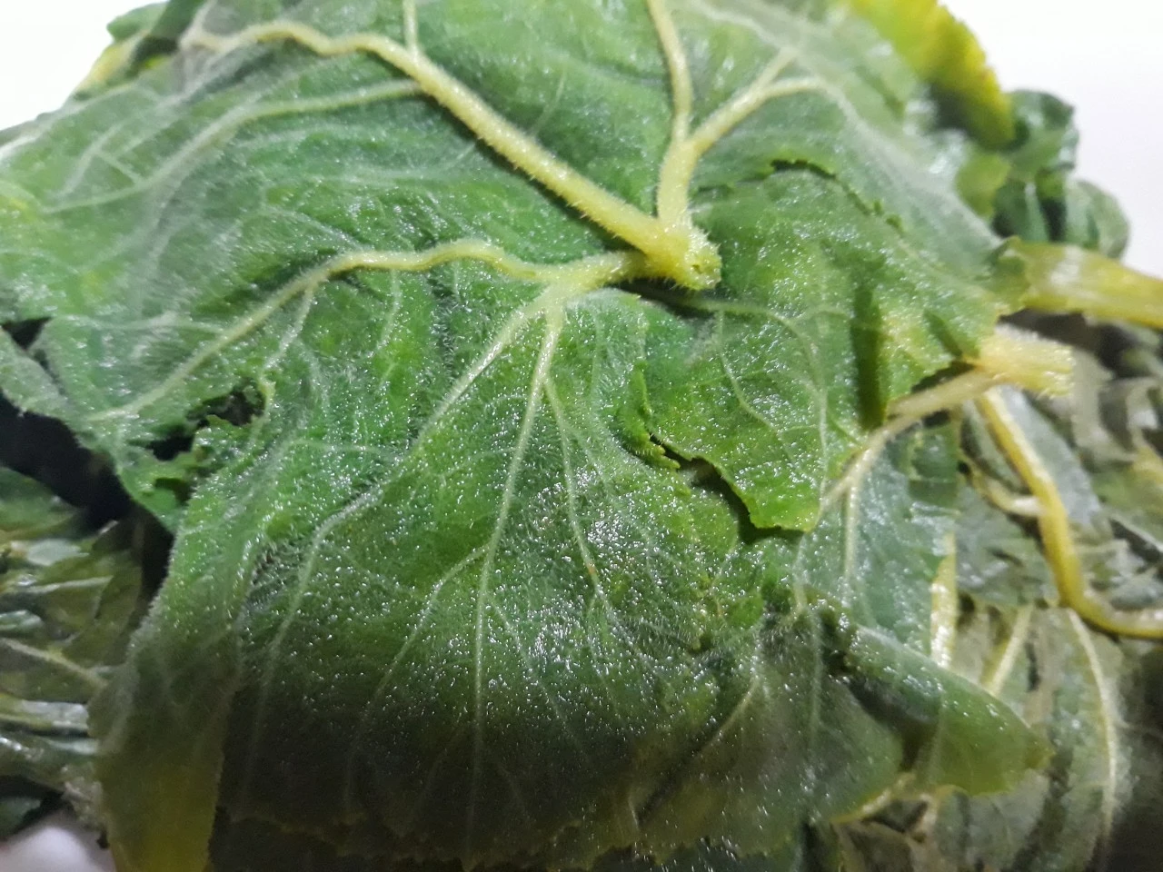 a_42dUd018svc1qt2u2q1htw65_e4yr2x.jpg?type=e1920_std