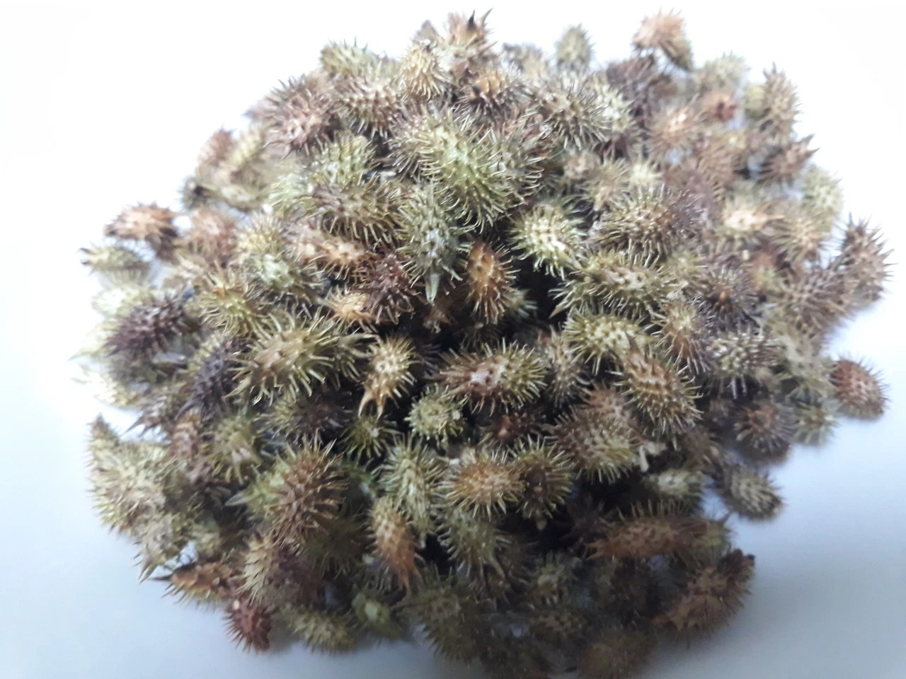 1_0g5Ud018svc10q5tavl6ndiy_e4yr2x.jpg?type=e1920_std