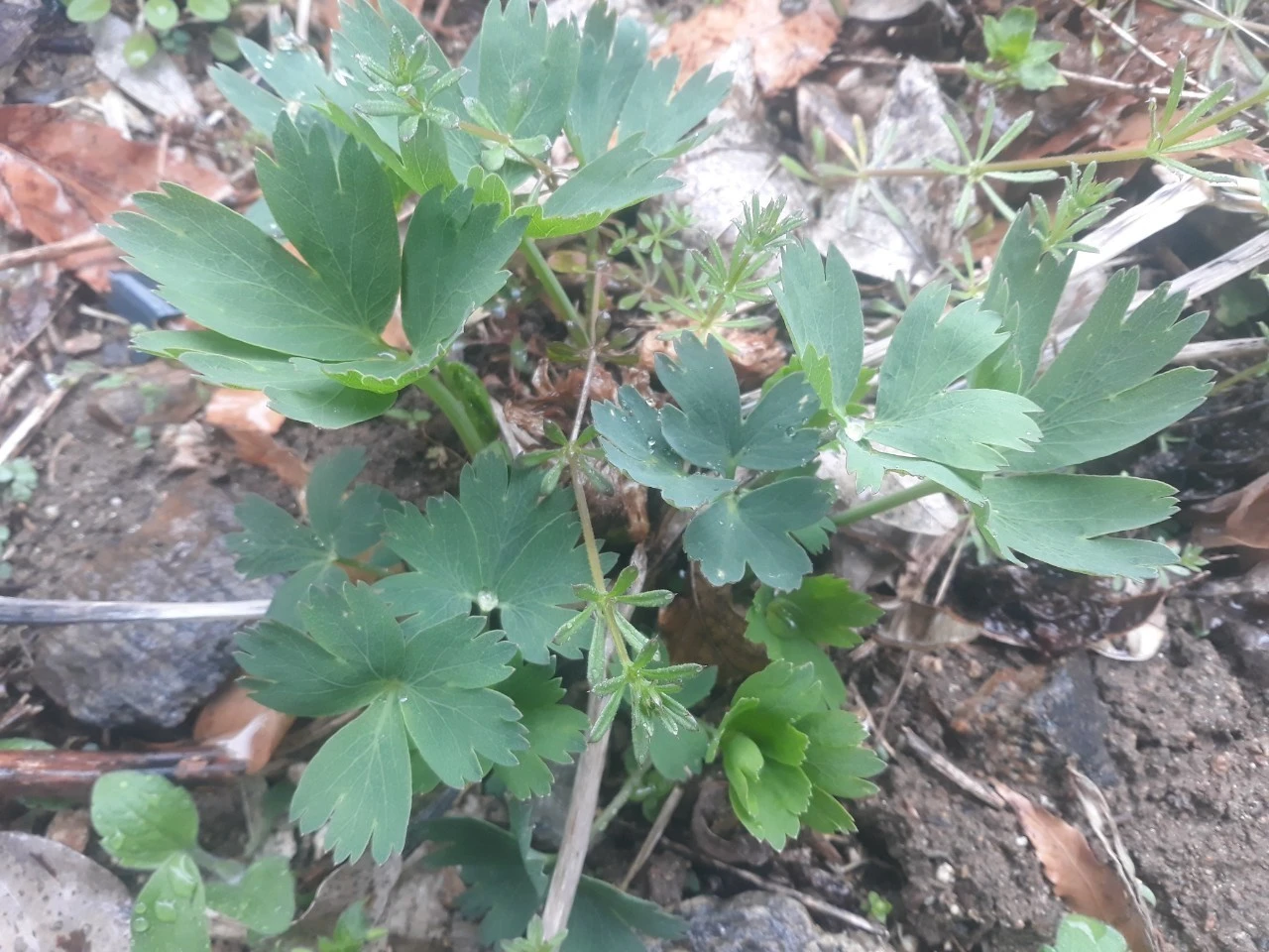 2_jc3Ud018svc14ru3bi2z3mgv_e4yr2x.jpg?type=e1920_std