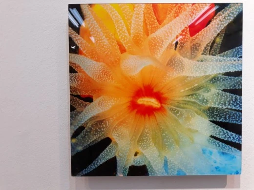 4_f8aUd018svc14pvv55tqsg0l_e4yr2x.jpg?type=w520