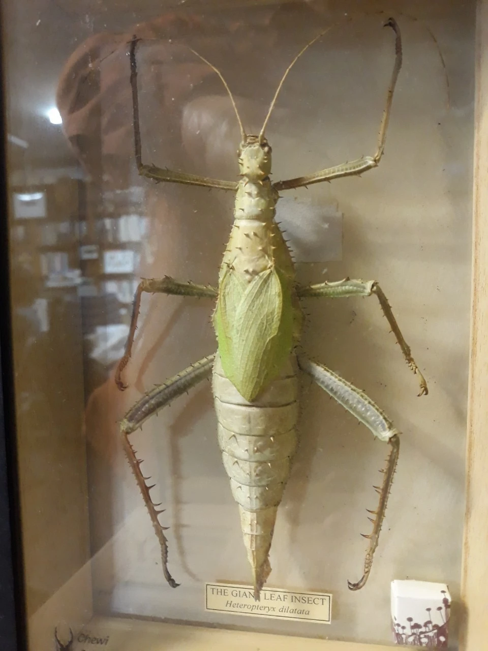 j_7i2Ud018svcfkjy0ukr6hla_e4yr2x.jpg?type=e1920_std