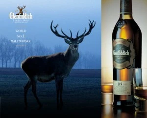 8_071Ud018svcfaqmcwopihnz_e4yr2x.jpg?type=w520