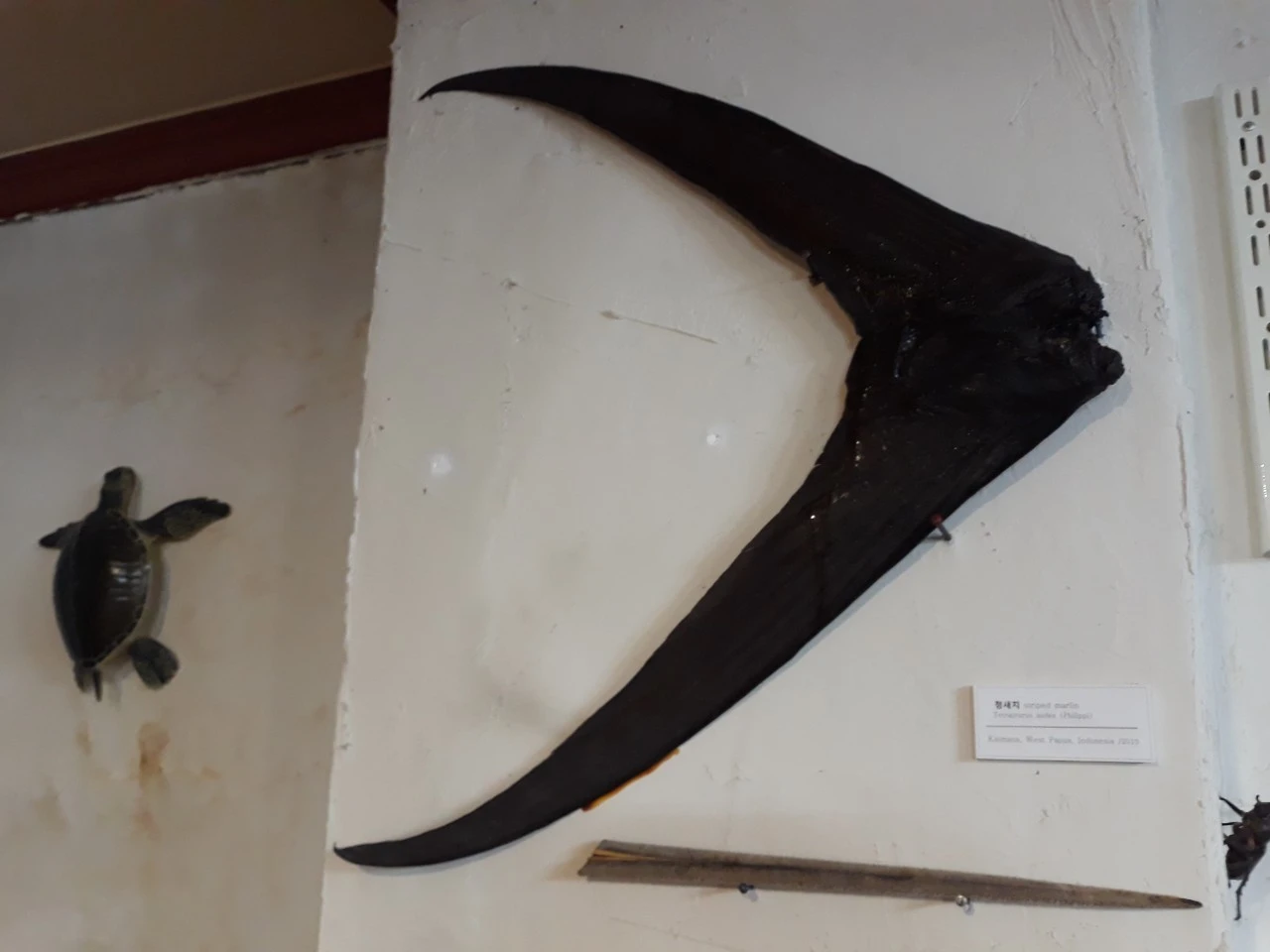 3_idfUd018svc14cszx56ff8p4_e4yr2x.jpg?type=e1920_std