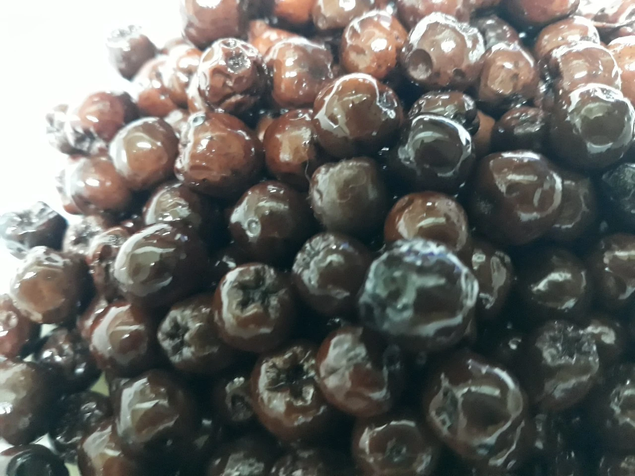 7_565Ud018svc2qdpdjxiveye_e4yr2x.jpg?type=e1920_std