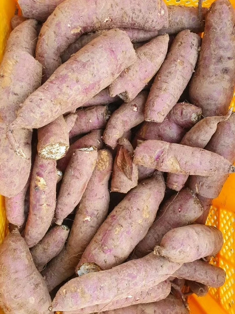 1_748Ud018svcsmmk0rcyal5e_e4yr2x.jpg?type=e1920_std