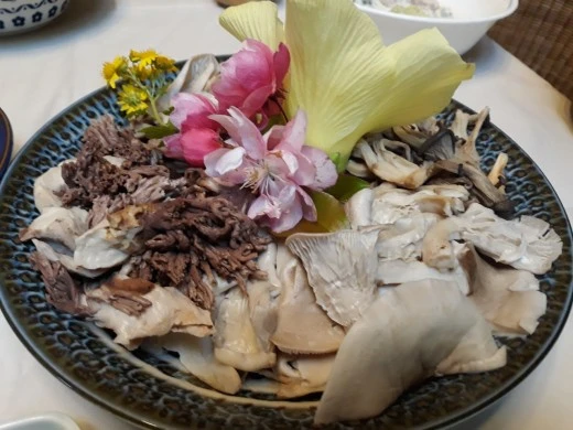 1_faaUd018svcb231b72b2pdc_e4yr2x.jpg?type=w520