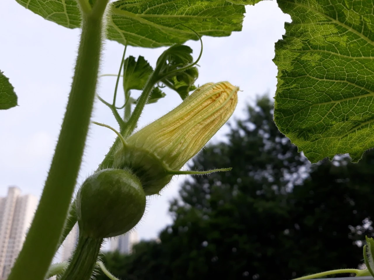 6_72jUd018svc1as3jedkm5m0_e4yr2x.jpg?type=e1920_std