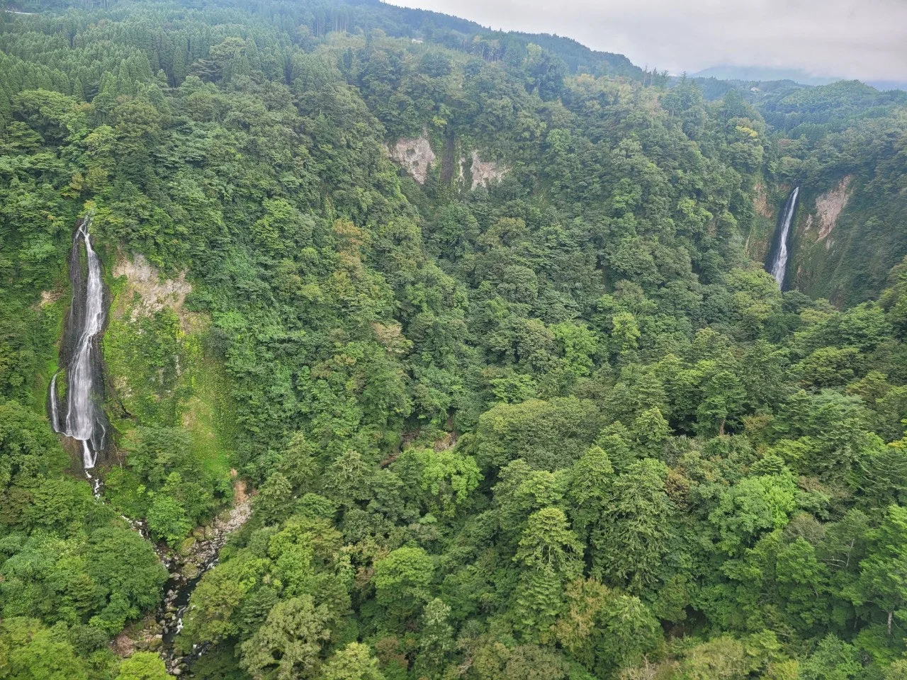 e_f62Ud018svcuuoyy5ldyup5_e4yr2x.jpg?type=e1920_std