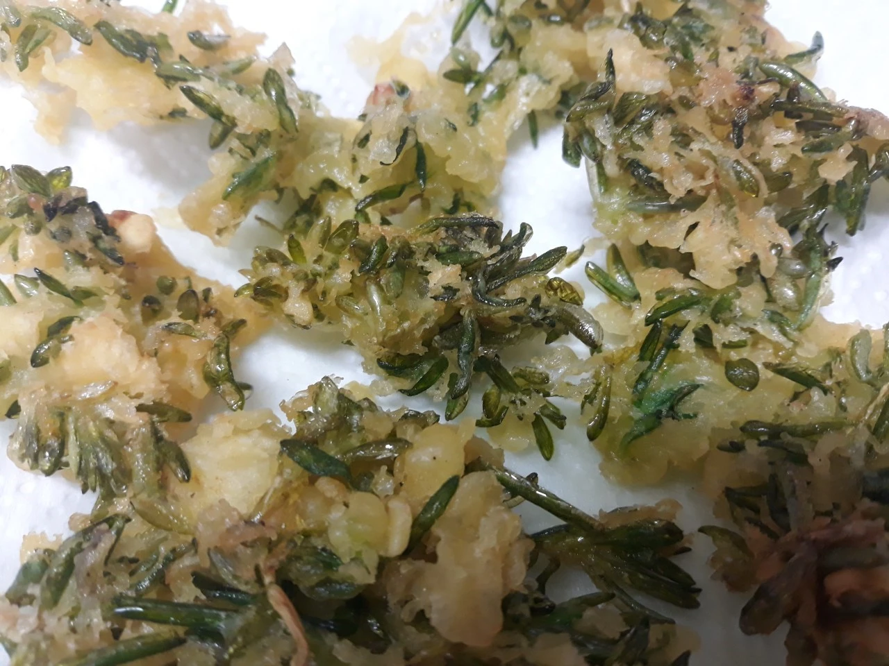 g_216Ud018svc32zesles9lvm_e4yr2x.jpg?type=e1920_std