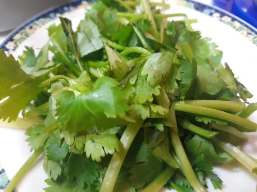 5_gb7Ud018svc1veoowl6g3h9n_e4yr2x.jpg?type=w520