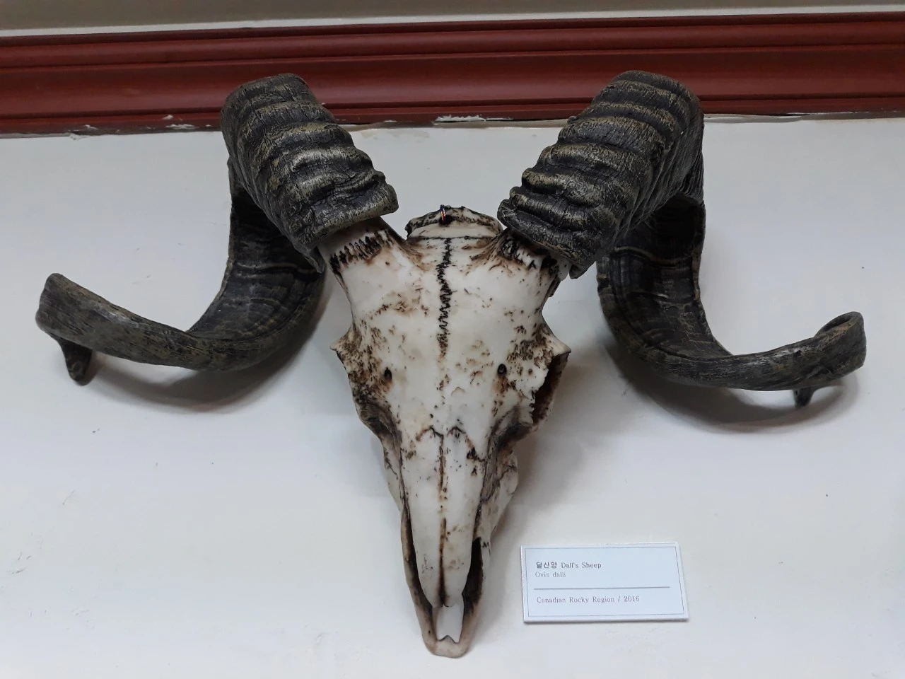 j_ci2Ud018svc1iyhy1togjdb9_e4yr2x.jpg?type=e1920_std