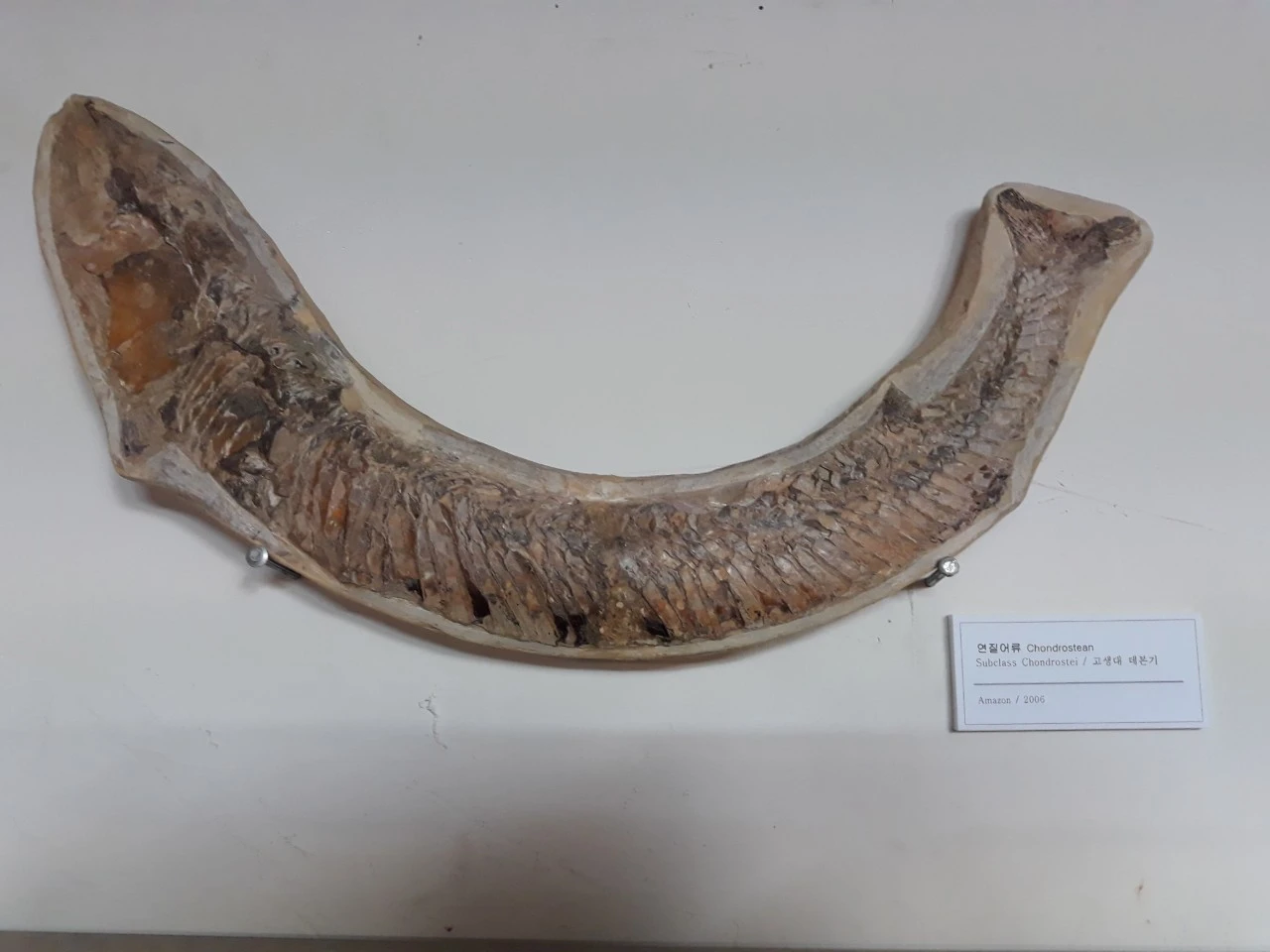 j_bi2Ud018svc18occzcvpc3kd_e4yr2x.jpg?type=e1920_std