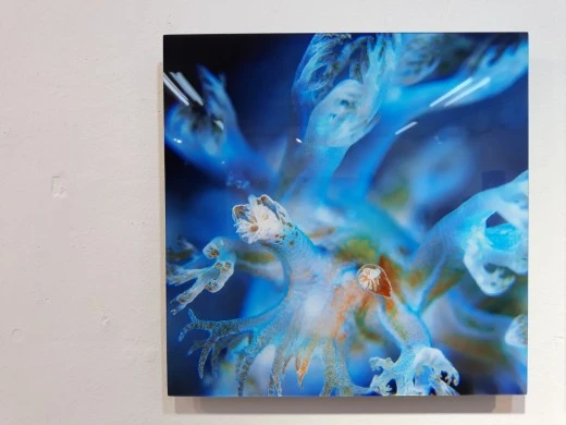 7_18aUd018svcgef6hqi9a59g_e4yr2x.jpg?type=w520