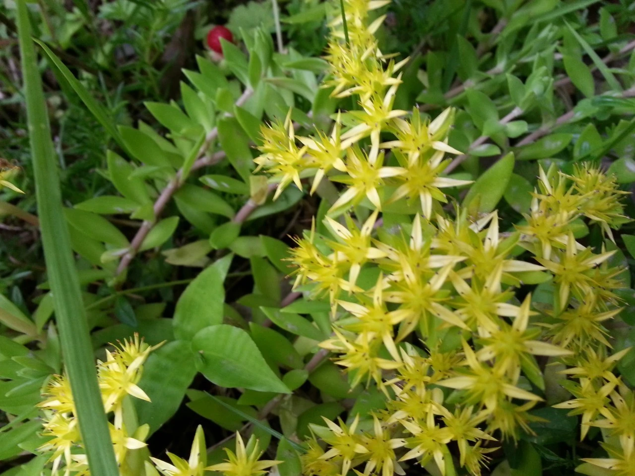 b_8c8Ud018svcfu3exv4prt5b_e4yr2x.jpg?type=e1920_std