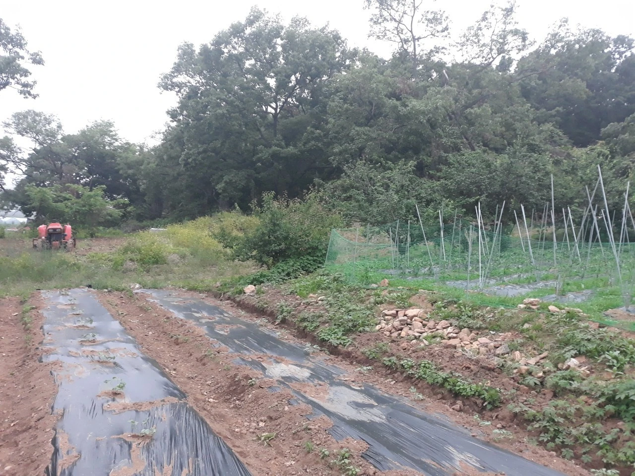 9_9e3Ud018svcq71qfx0oqgh2_e4yr2x.jpg?type=e1920_std