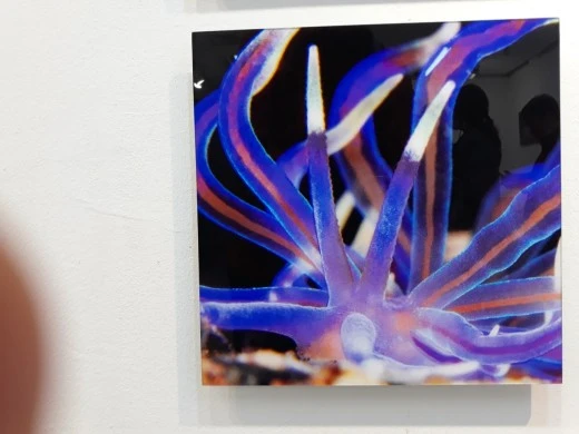 4_f8aUd018svc17fpn0em3vgri_e4yr2x.jpg?type=w520