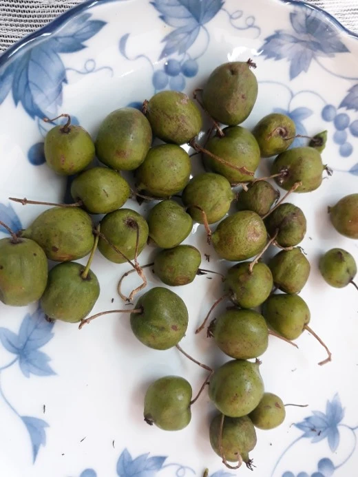 h_af4Ud018svcgsxb46p3waan_e4yr2x.jpg?type=w520