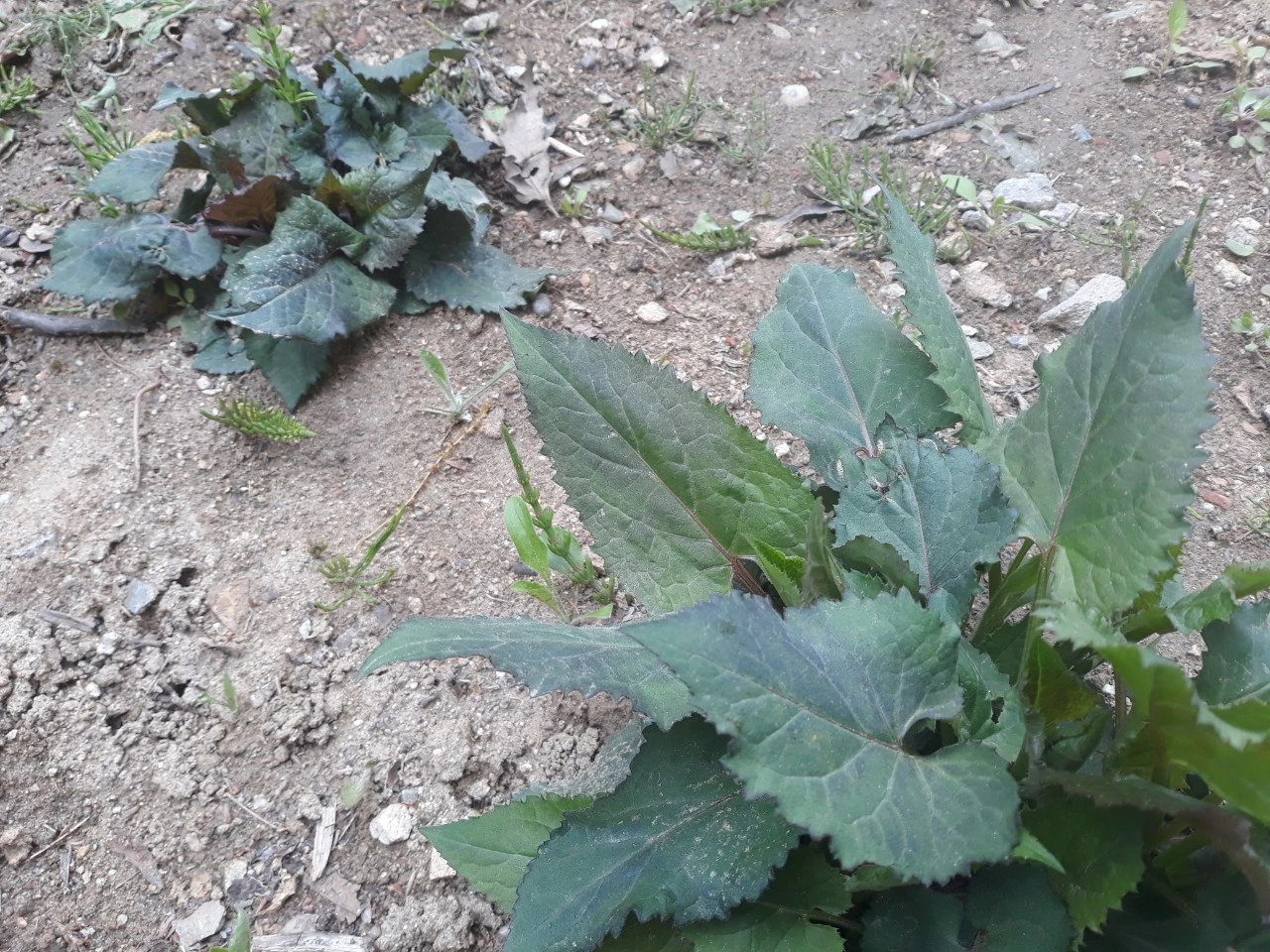 8_6baUd018svc1pciiy8pu7kwj_e4yr2x.jpg?type=e1920_std