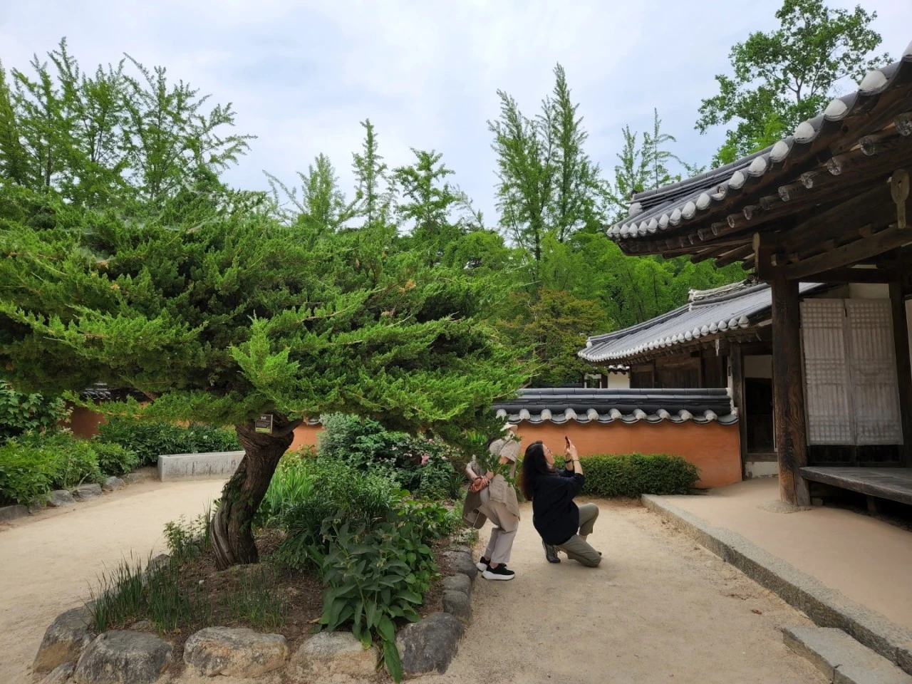 6_jdcUd018svc1b92jmdsarp79_e4yr2x.jpg?type=e1920_std