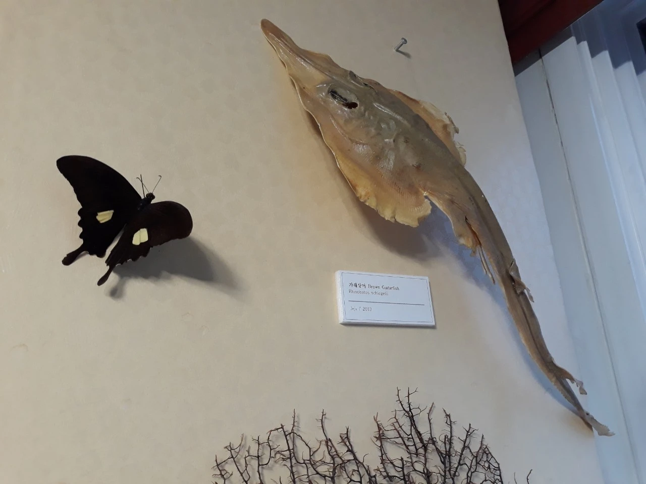 j_5i2Ud018svc1o2dgkrslbux3_e4yr2x.jpg?type=e1920_std