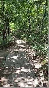 b_c44Ud018svc145pu4pk042p9_e4yr2x.jpeg?type=w520