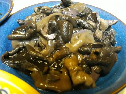 2_iaaUd018svc1j2vms95djc2s_e4yr2x.jpg?type=w520