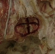 5_8deUd018svc1kusx0x9b6d1d_e4yr2x.png?type=w520