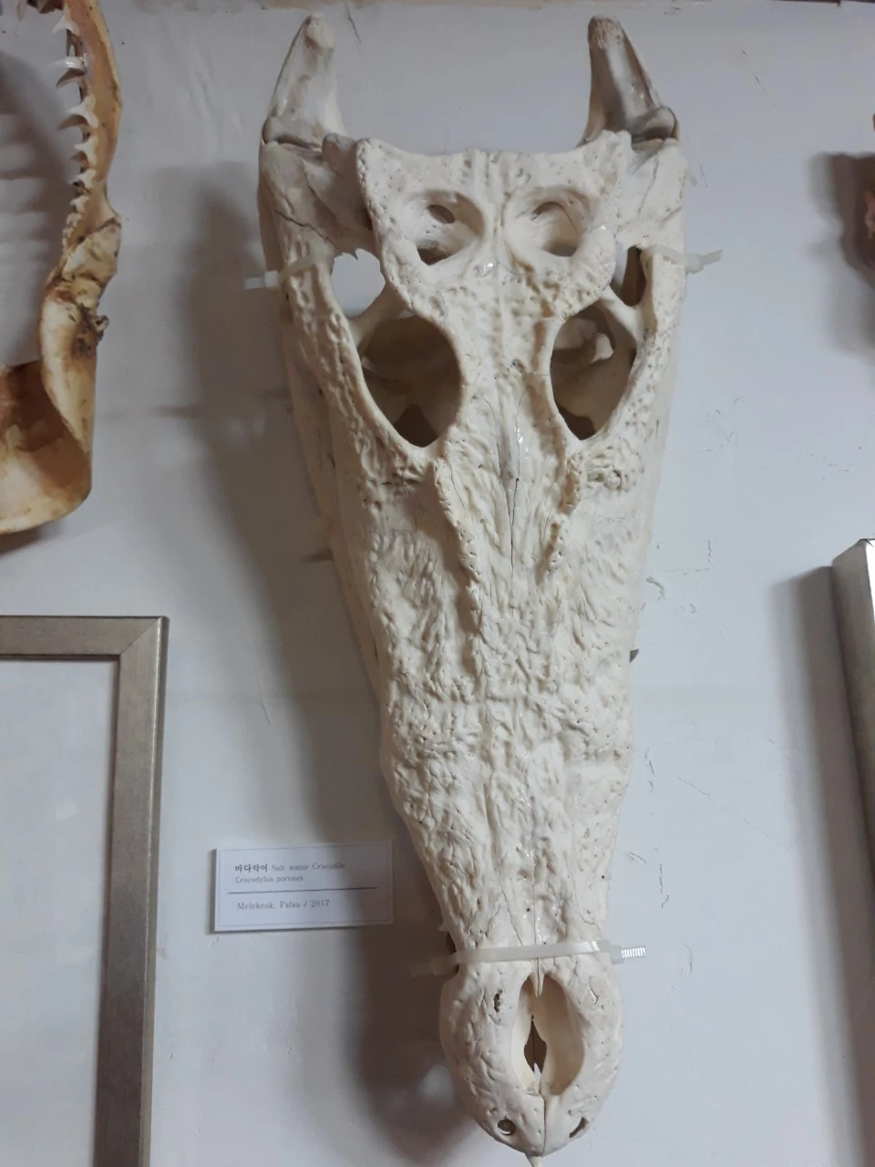 j_ai2Ud018svcvhpmds08zi5t_e4yr2x.jpg?type=e1920_std