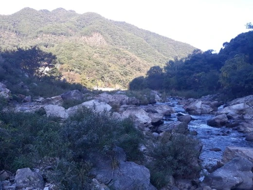 5_3a5Ud018svc1o71lk0u7bbxn_e4yr2x.jpg?type=w520