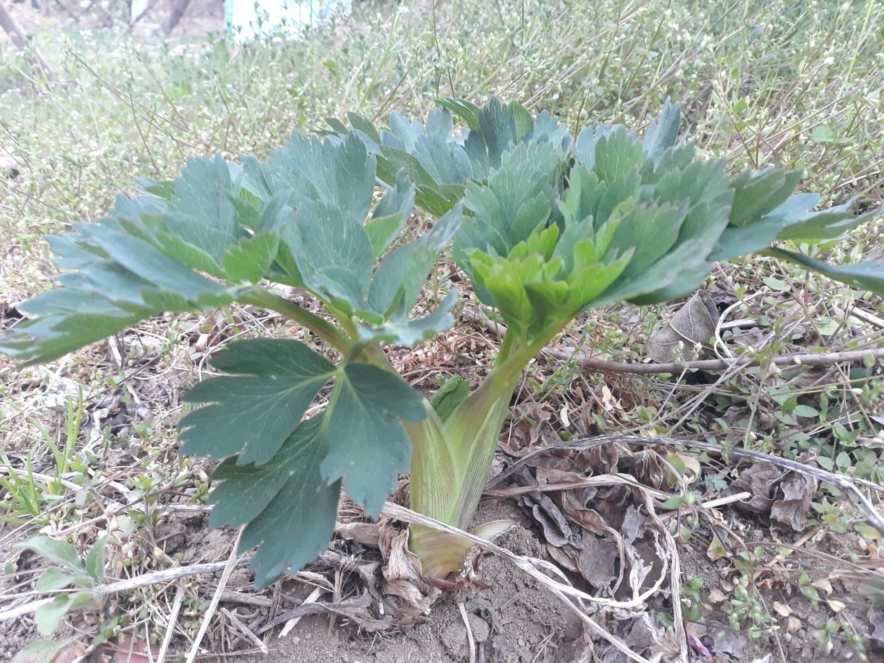 2_gc3Ud018svco87x815iv4o6_e4yr2x.jpg?type=e1920_std