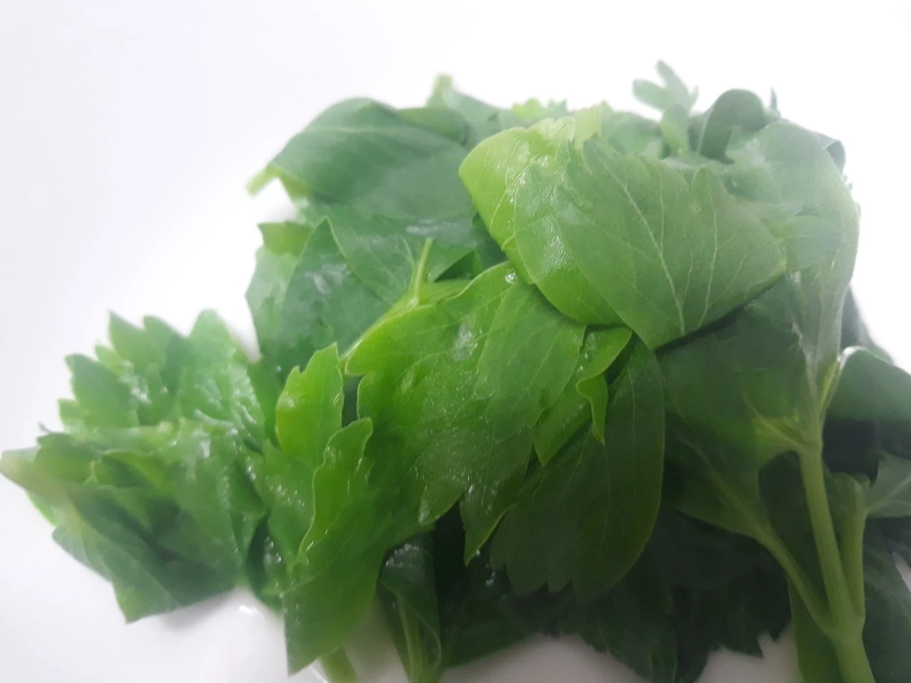 2_hc3Ud018svc3eas8doe8udc_e4yr2x.jpg?type=e1920_std