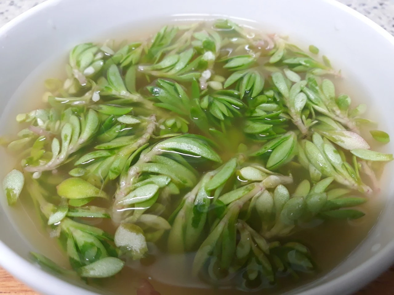 g_2c6Ud018svc2gykrob34der_e4yr2x.jpg?type=e1920_std