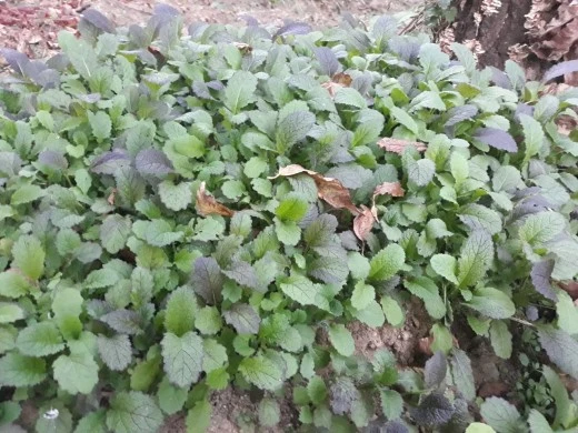 8_c0fUd018svc63tzq3kfqebx_e4yr2x.jpg?type=w520