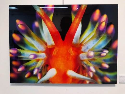 7_38aUd018svcivky873lh3ev_e4yr2x.jpg?type=w520