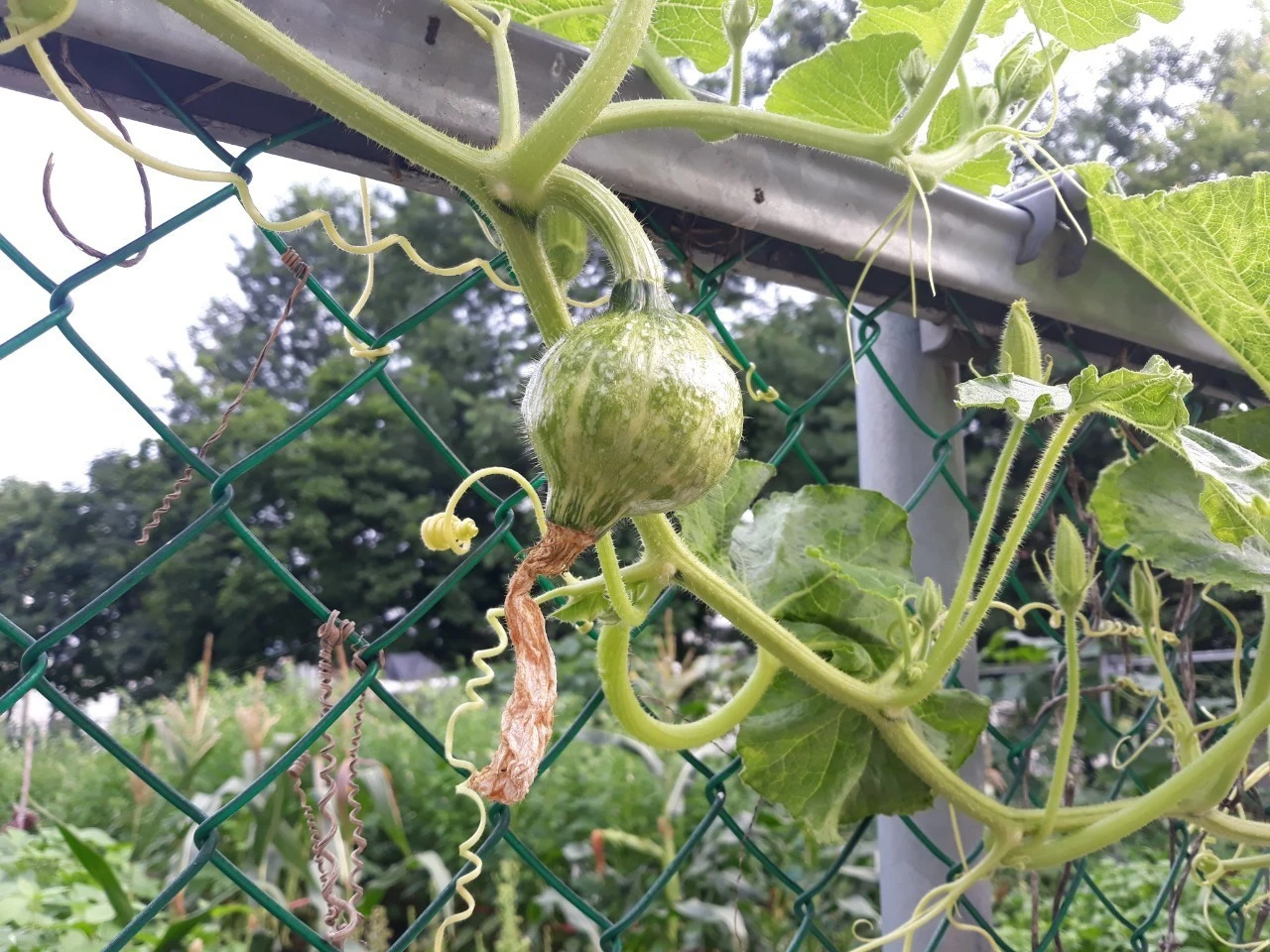 6_62jUd018svcysa28i68jb4q_e4yr2x.jpg?type=e1920_std