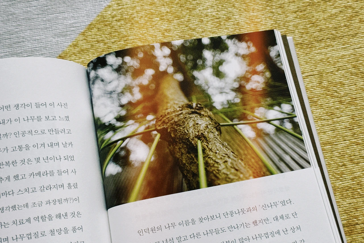 친구 같은 나무 하나쯤은5.JPG