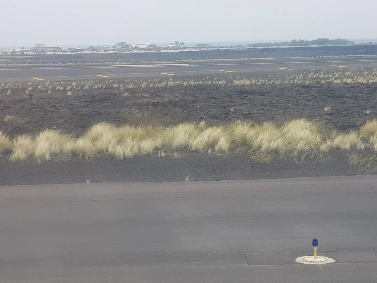 998F313E5AA0DAB8347368