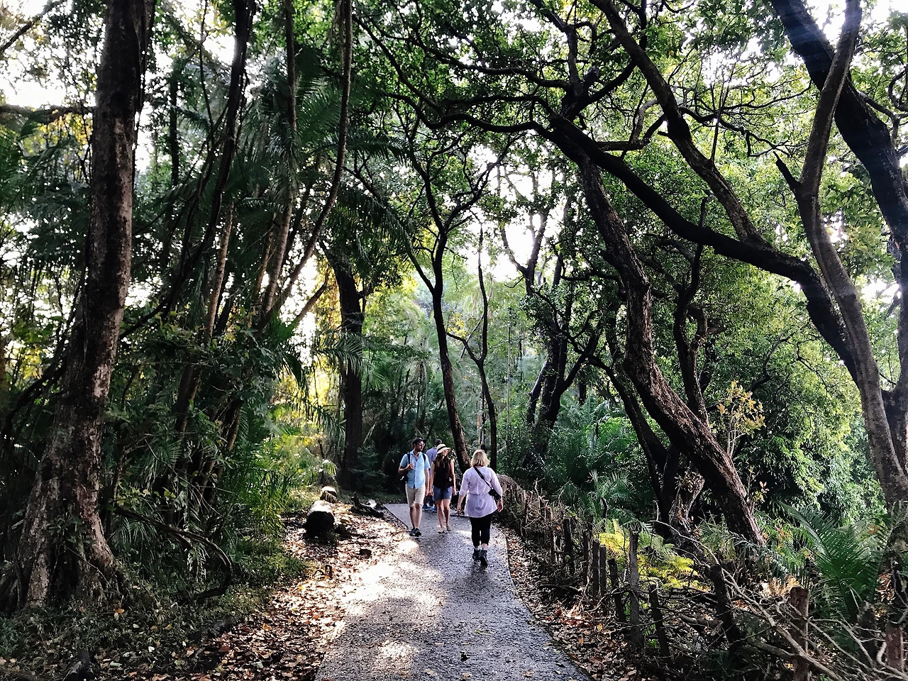 7.공원 내 길.JPG