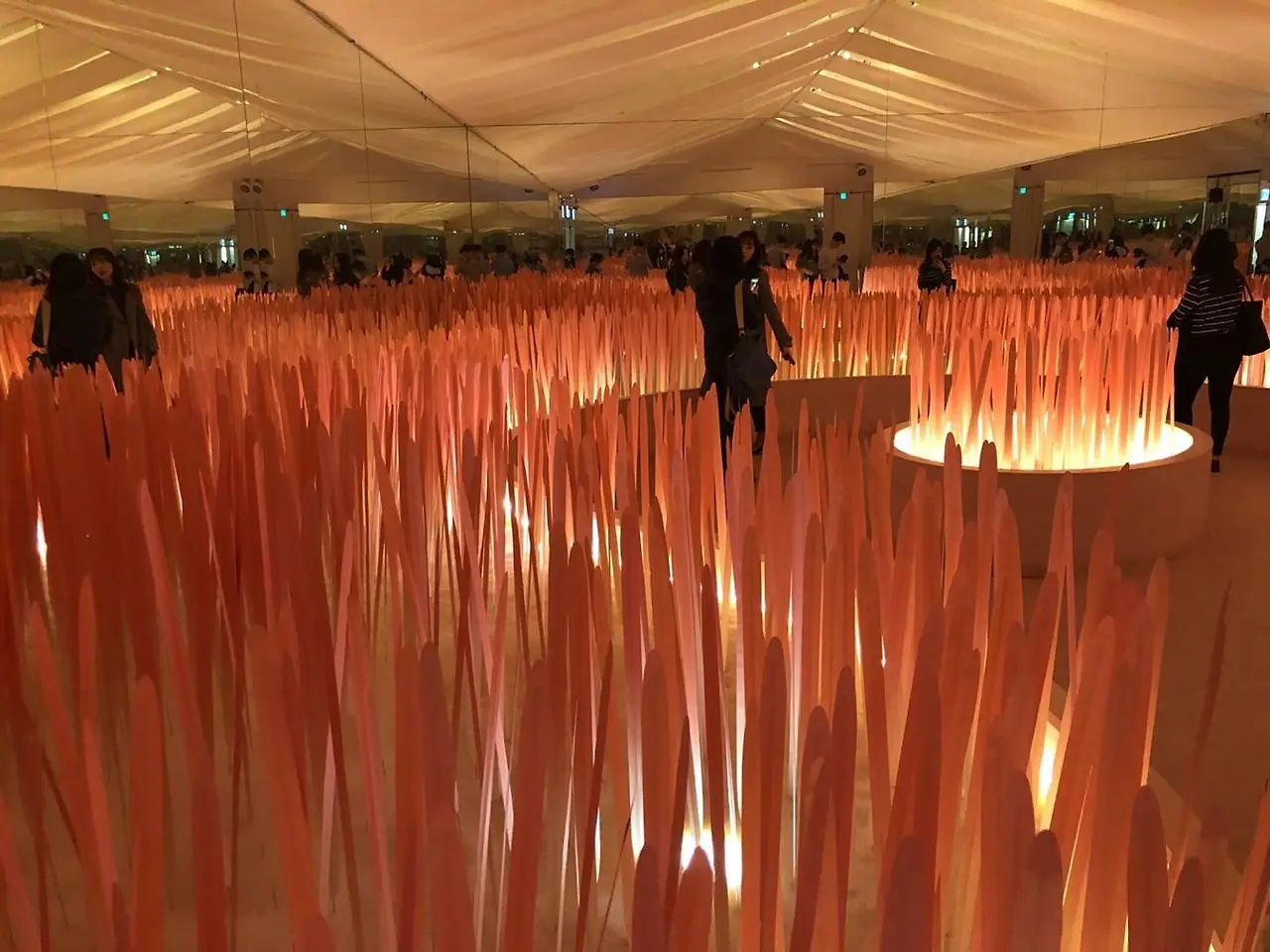 gG8G1VxUKDqYdROi88xtC3jAb06QU6t6-BDU6TOeW85w0ccdPptbcctQfEpKybBxArATgAR0nMa77655TPNALSPXHSQmcykui-zgjFnsmR9xbD57i7Xe4_OSEx6riqE3fpipgEBUHidaAjEqGg