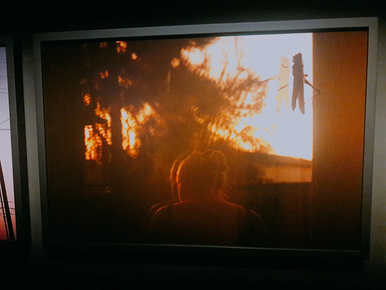 Ya6NxsdyNFFs_ZgCmdY6tYP0qcweZ9AEQYaPHB2w-jzkdfW0r4sUnZ85J8e-K9OrNtpBa5X68sjJSI8PFdIC-5Cdn3-0JZ2zFtgJyAWeidrniw54OVzFhRDT3JuUd63Wie120u48