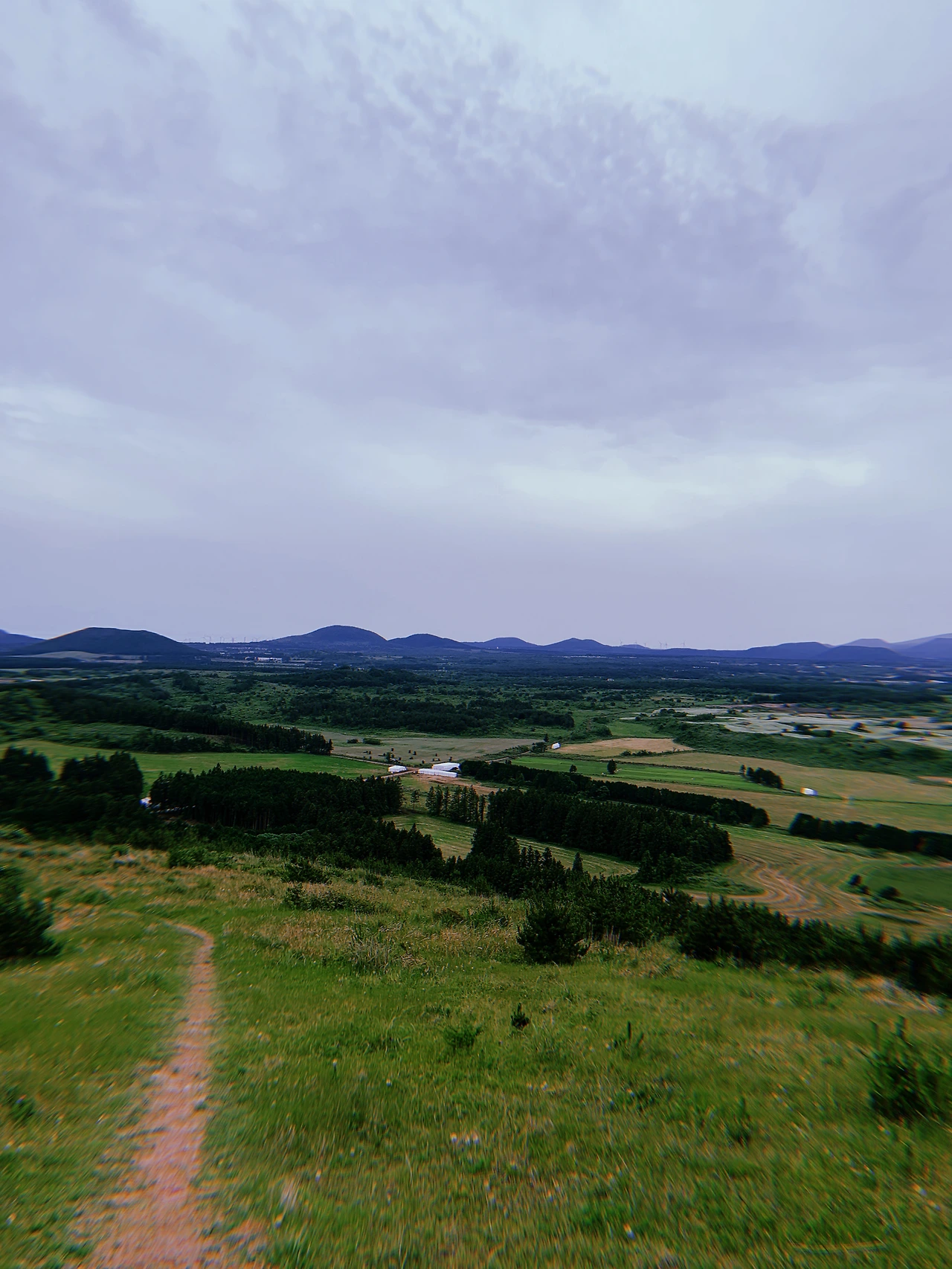 2020-06-05 18:28:27.601.JPG