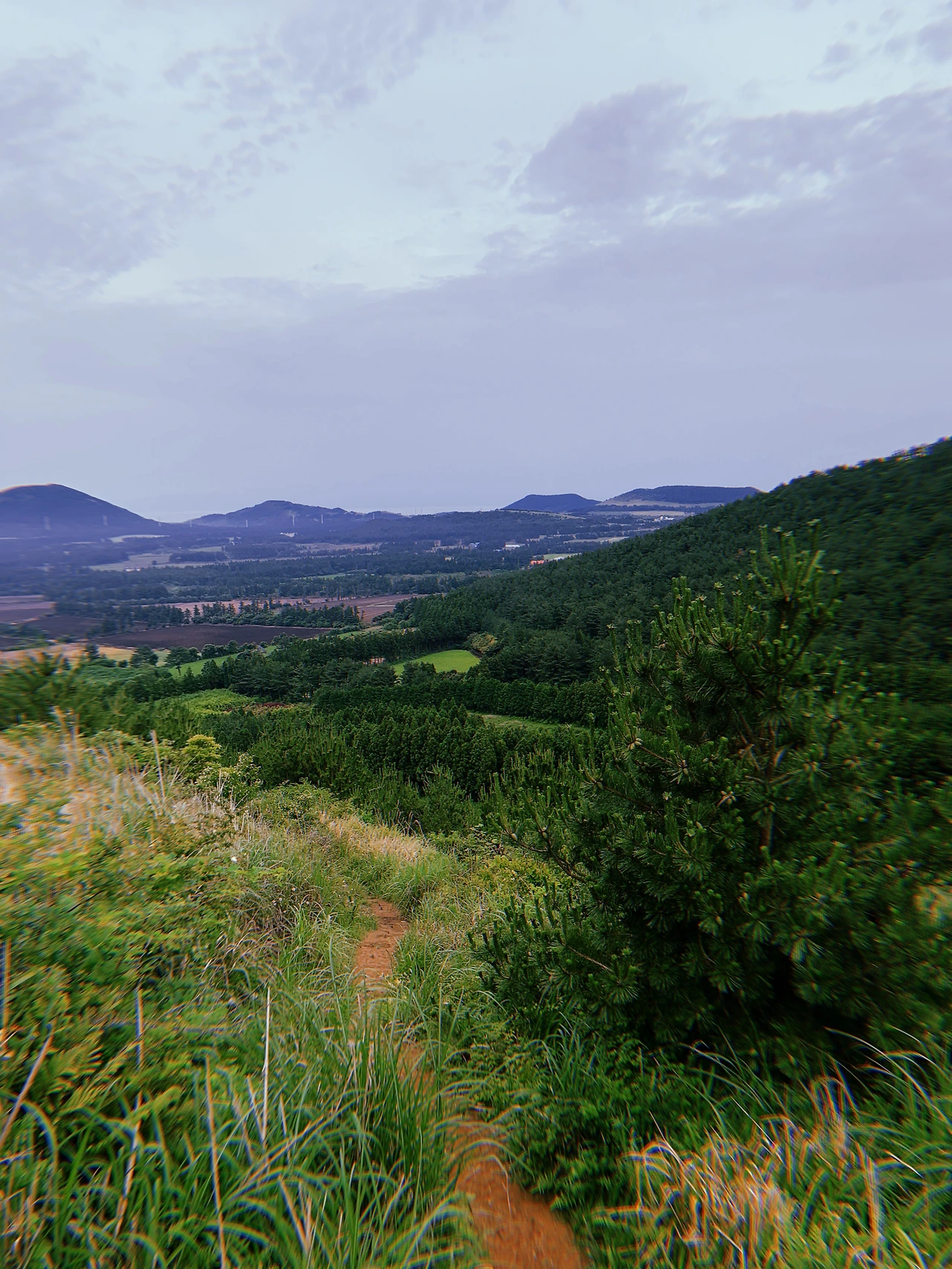 2020-06-05 18:22:46.753.JPG