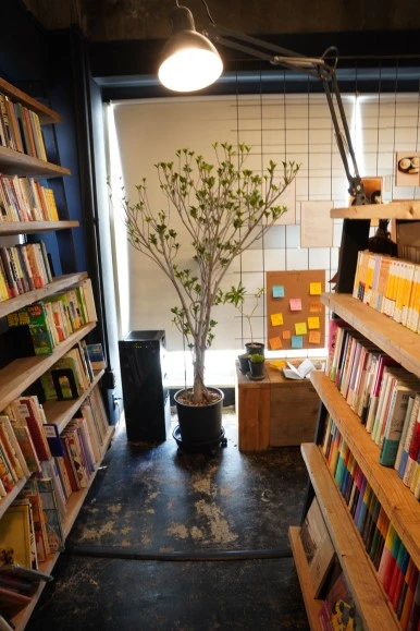 DSC00208.JPG?type=w386