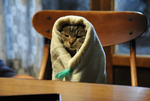 rswuxz9LZqYuLvJWrzBRG05q_1Lz9eShWy3njTUVbM8MaM8LsynrgTa6K9iqB17uCC-1ZVZMVh4Z3AGMryMIveyOaoTg5usA6MMdra2EUQZsw-qMMjN0cCafpV6IptZcXlNNQASVAGpsgeI9G3WxQwYdBMPvHRHe8xzN6pzpKkVOQWcaPlNdqY8iaMlVfJh0kECqrKbXoddq_u7FY1Ato5mgwE2JiG_27BA_Qsk5Yg6LPptTNOR9Ds_qFjgQ6tnMsXy-skdP07h5BcesQwRDKA