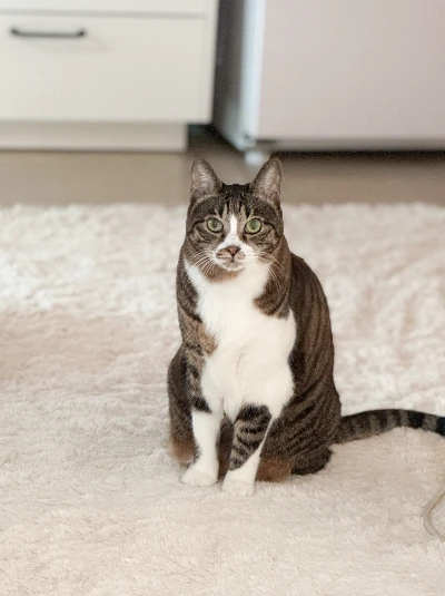 2A98861F-18B3-4365-AEC5-663CA42761E8 2.JPEG