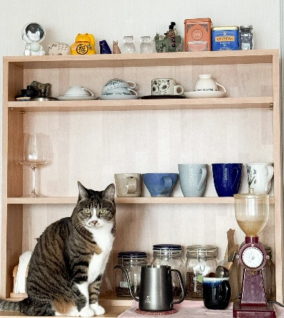 226D47C8-FA65-4081-8551-56A5FB8894CE 2.JPEG