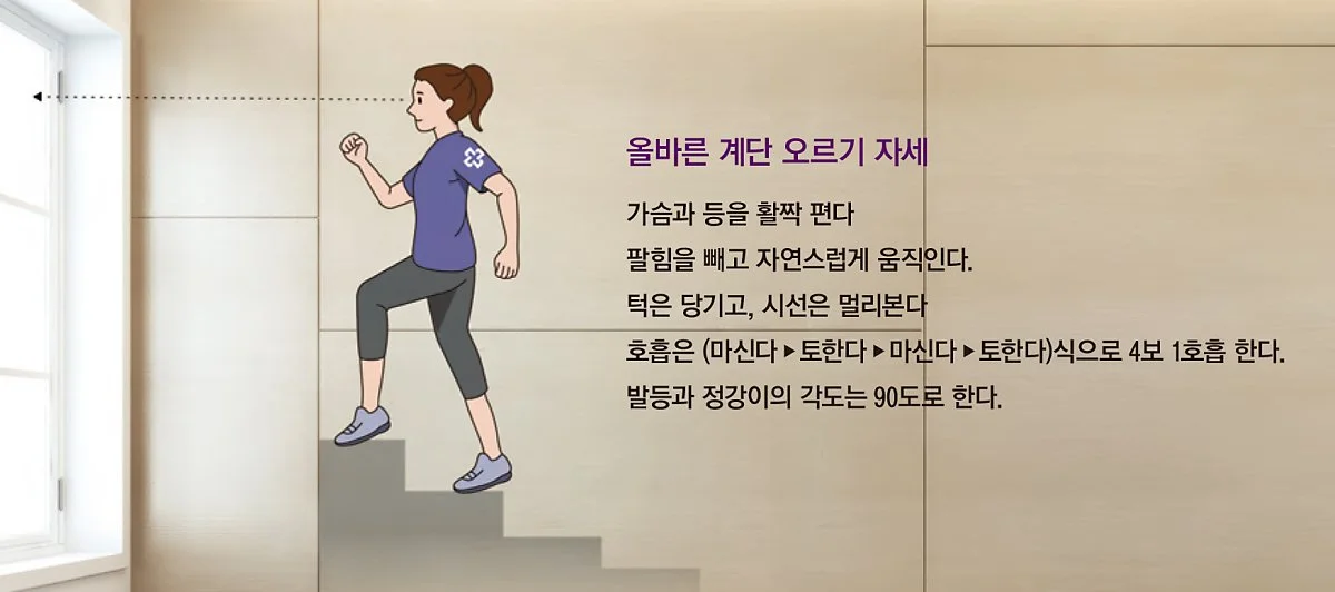 %EC%98%AC%EB%B0%94%EB%A5%B8_%EA%B3%84%EB%8B%A8%EC%98%A4%EB%A5%B4%EA%B8%B0.jpg?type=w1200